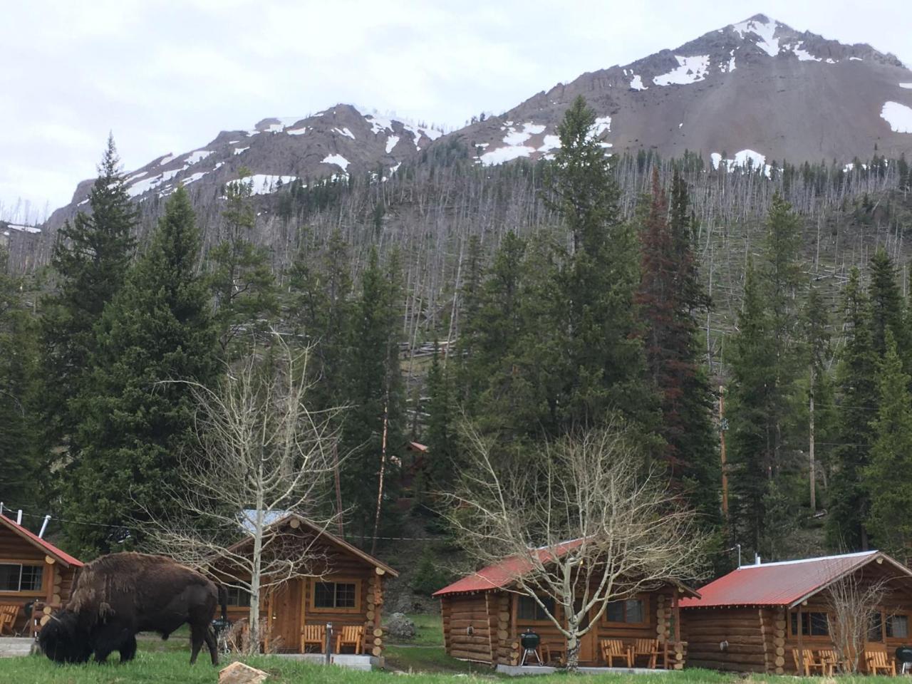Silver Gate Lodging Cooke City Bagian luar foto